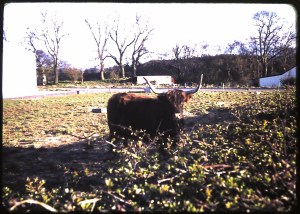 8-24-2010 19-7-12_254